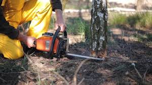 Best Lawn Mowing  in Niagara, WI