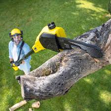 Best Arborist Consultation Services  in Niagara, WI