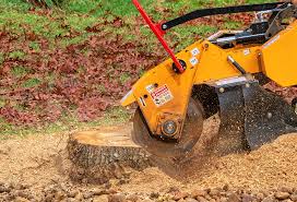 Niagara, WI Tree Care Company