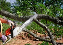 Best Commercial Tree Services  in Niagara, WI